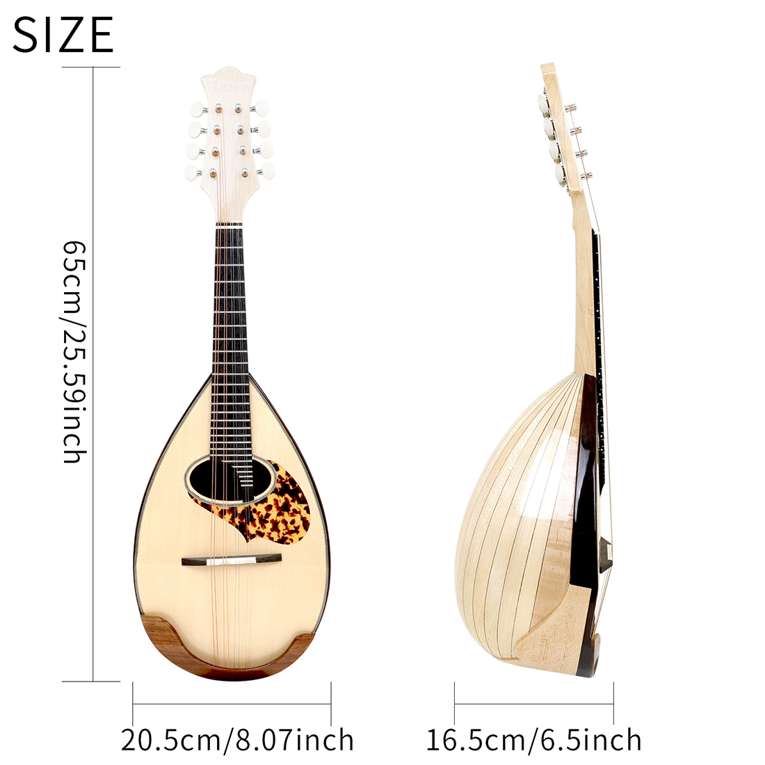 Mandolina IRIN MD-60 de Arce J - Musical Instrument In Japanese reseña y precio