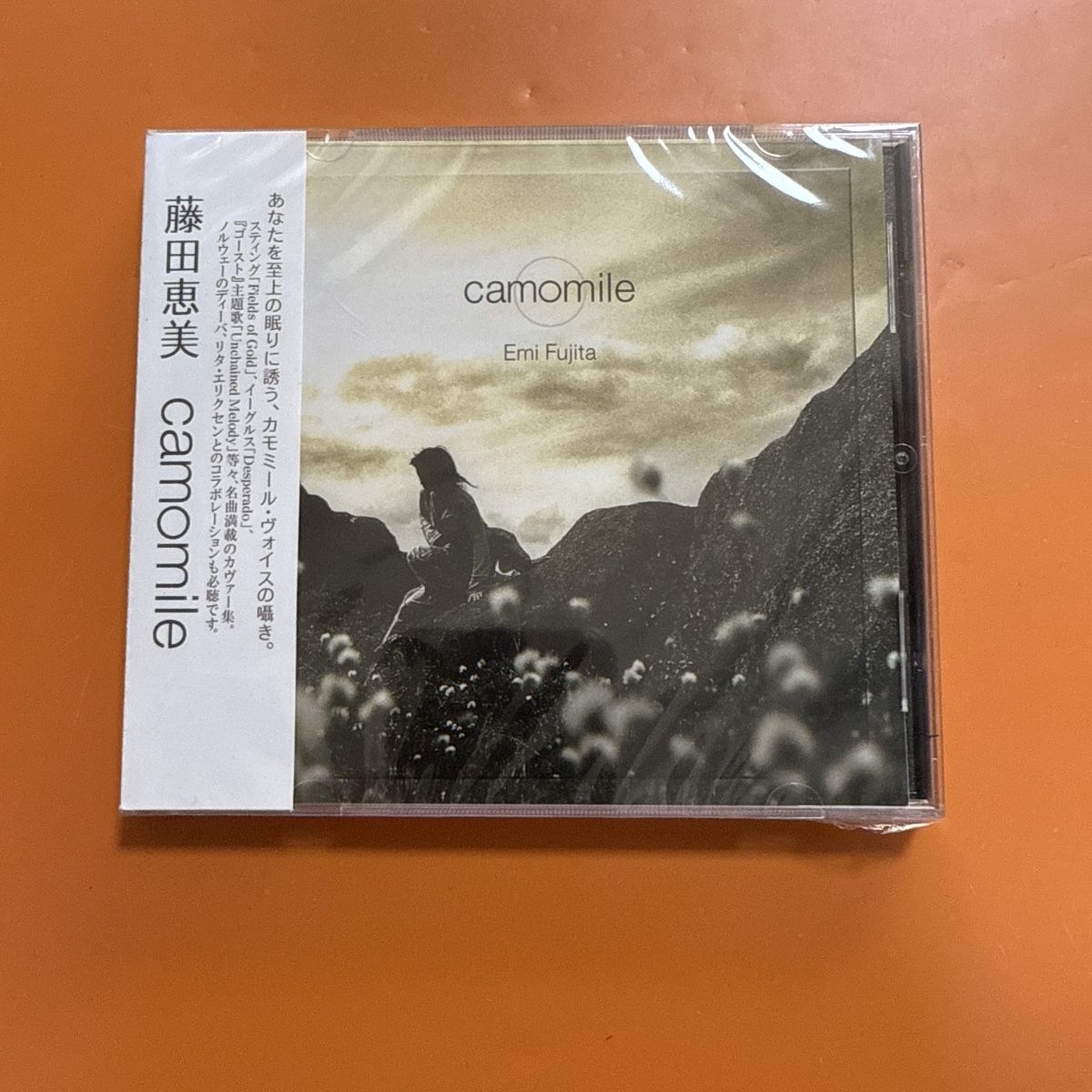 CD de Folk Pop Japonés de Esti - Musical Instrument In Japanese reseña y precio